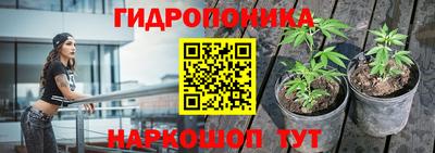 шишки Чапаевск