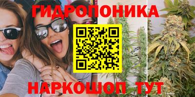 шишки Чапаевск