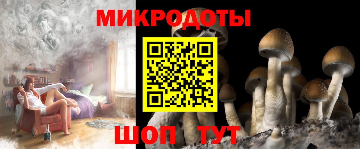 Галлюциногенные грибы Psilocybine cubensis  Псилоцибиновые грибы ЛСД  Артёмовский  Вход с VPN 